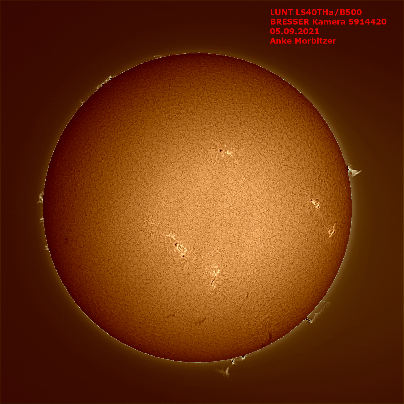 Sólin á ljósmynd sem tekin var með 40mm Lunt Solar Systems sólarsjónauka